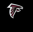 Falcons Store